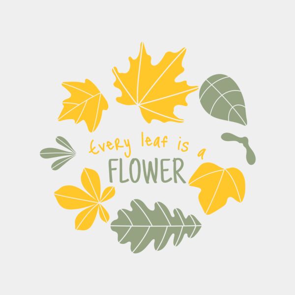 Fall Season 13 サムネイル